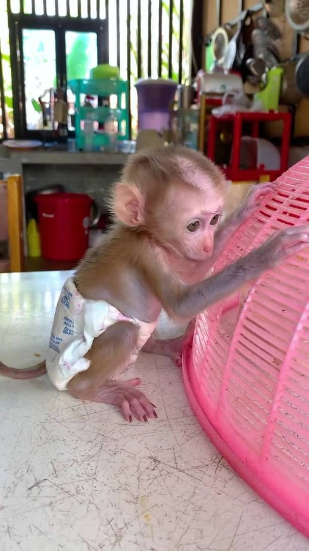 Karen – The Cute Pigtail - Image 2